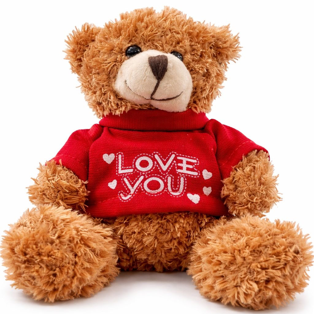 Plush Teddy Brown