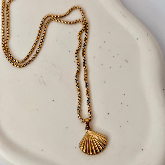 Sea Shell Necklace Small (Gizelle)