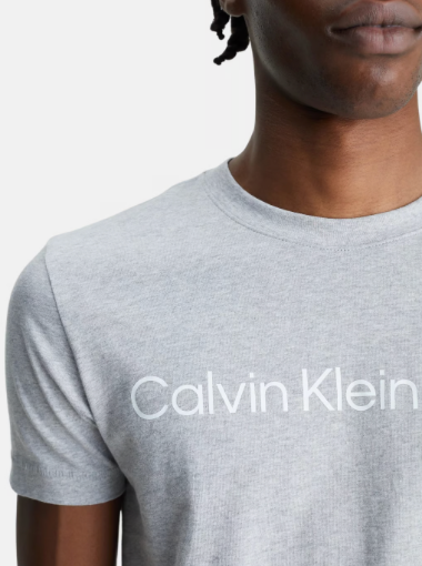 Institutional Logo Slim Tee (Calvin Klein)
